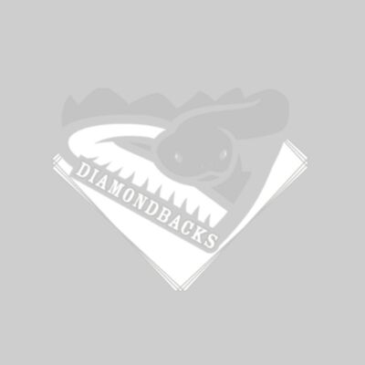 Diamondbacks - Grey Thumbnail